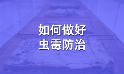 檔案修復(fù)后，如何做好蟲(chóng)霉防治