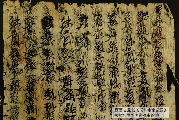 西夏文草書《瓜州審案記錄》，素材@中國國家圖書館